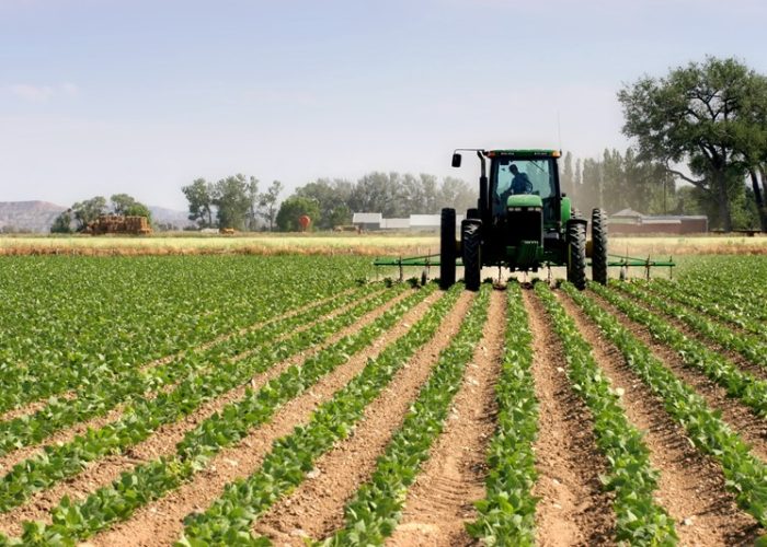 Modern-agriculture